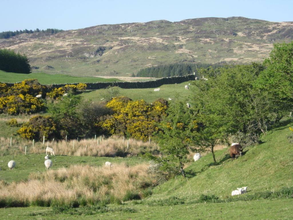 Barcloy Honey House Villa Kirkcudbright Dış mekan fotoğraf